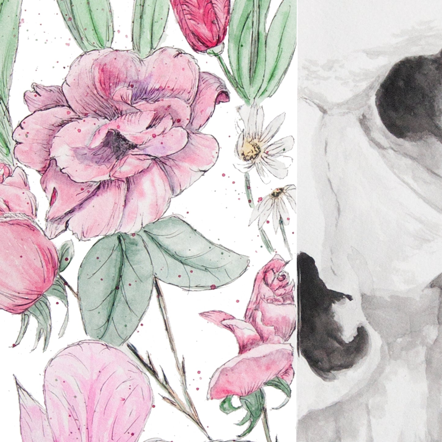 Half and Half, Original, Prints and Greeting Card, anatomical collection
