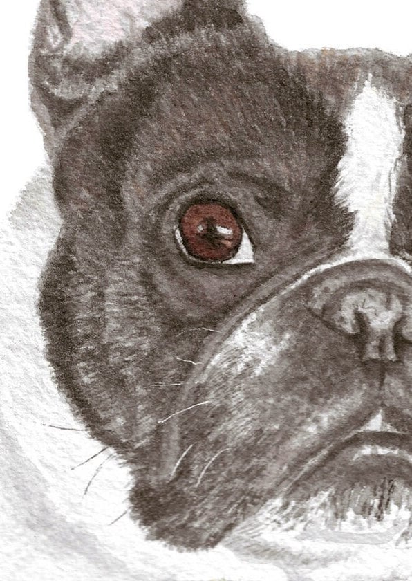 Custom Handmade Pet Portrait, Custom Watercolor Pet Portrait, Watercolor Pet Portrait, Pet Memorial, Christmas Gift, Birthday Present